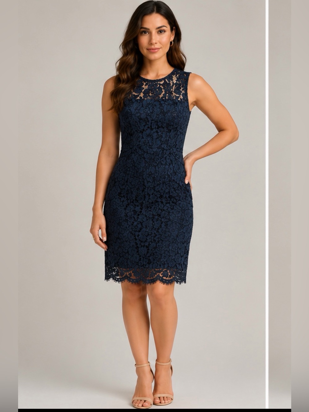 Banana Republic Sleeveless Navy Lace Sheath Dress size 4